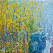 The seasons