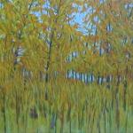 Autumn Forest