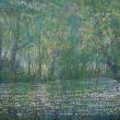 Forest river
