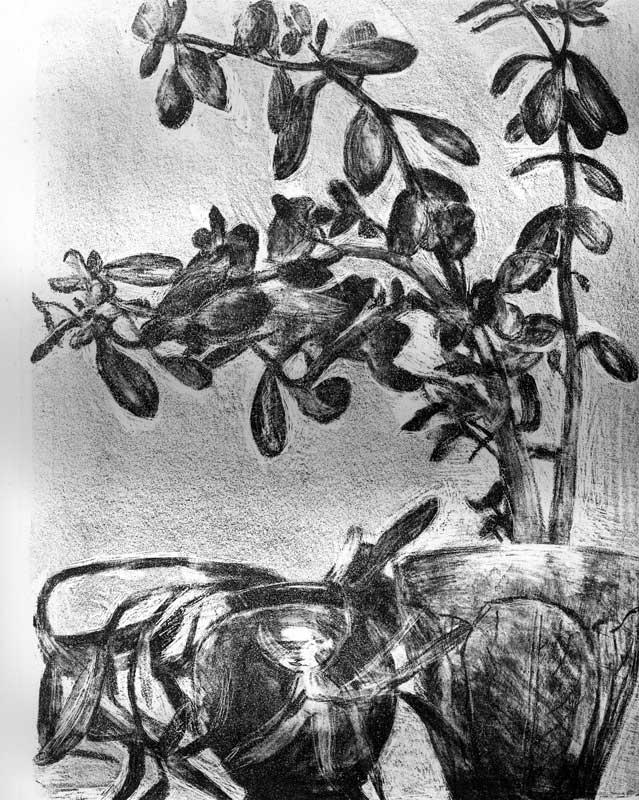 Graphics - Drawings