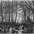 Cemetery