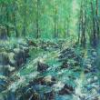 Forest Stream